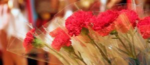 Festival-2015-web