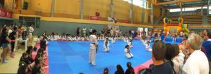Fiesta del Deporte 2015-017